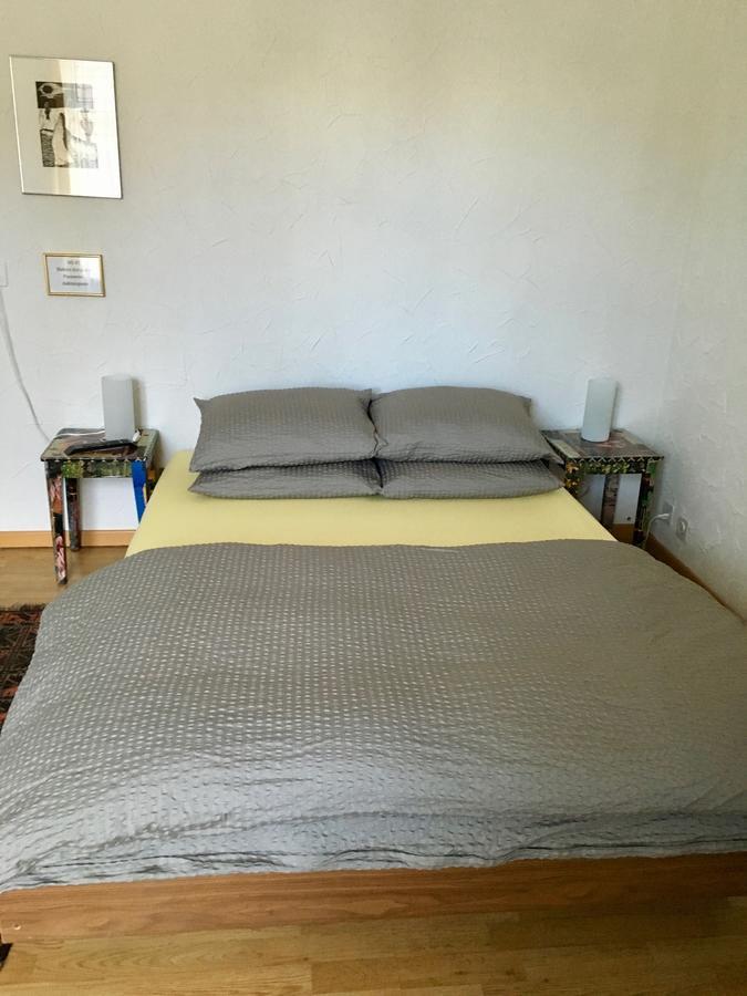 Dakini'S Bed & Breakfastチューリッヒ エクステリア 写真